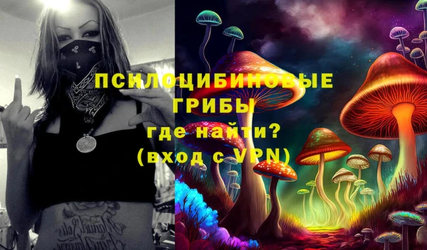 бошки Вязьма