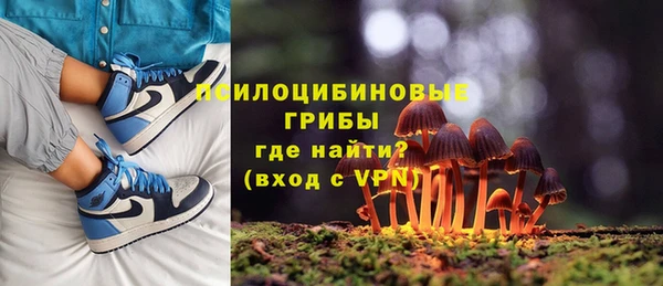дурь Горнозаводск