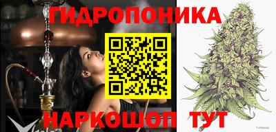 стаф Заводоуковск