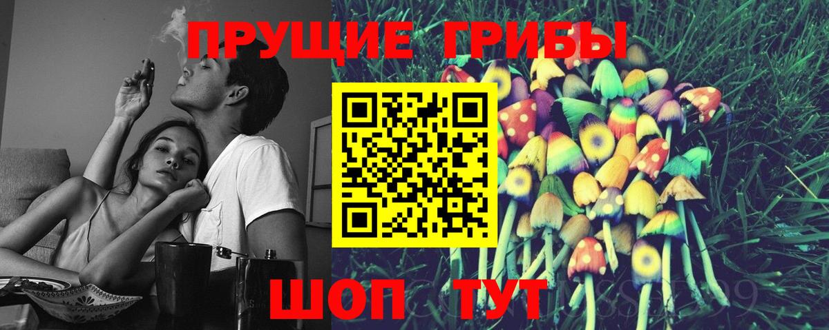 Псилоцибиновые грибы прущие грибы  где купить наркоту  Дубна  Галлюциногенные грибы Psilocybine cubensis  Вход с VPN 