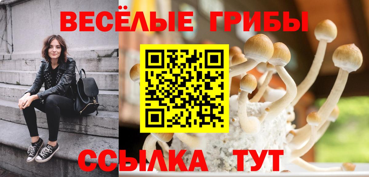 Галлюциногенные грибы мухоморы Дубна